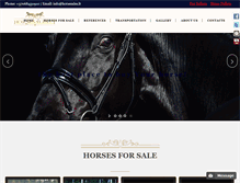 Tablet Screenshot of horsesales.lt